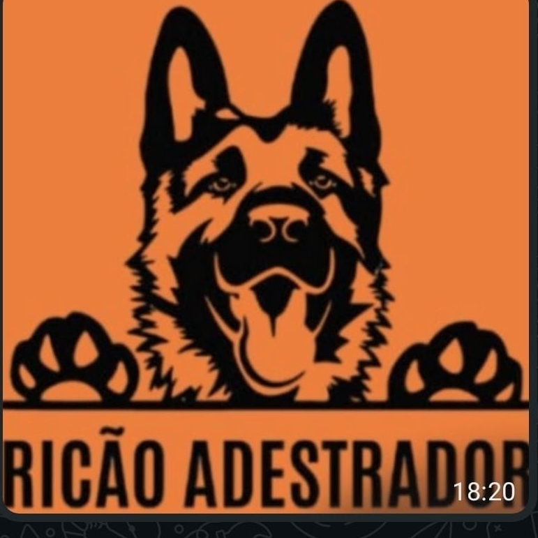 -Ricão Adestrador  Kadinho 