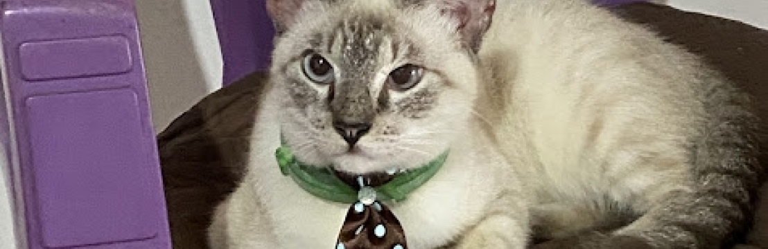 FreddieLucas Ricardo