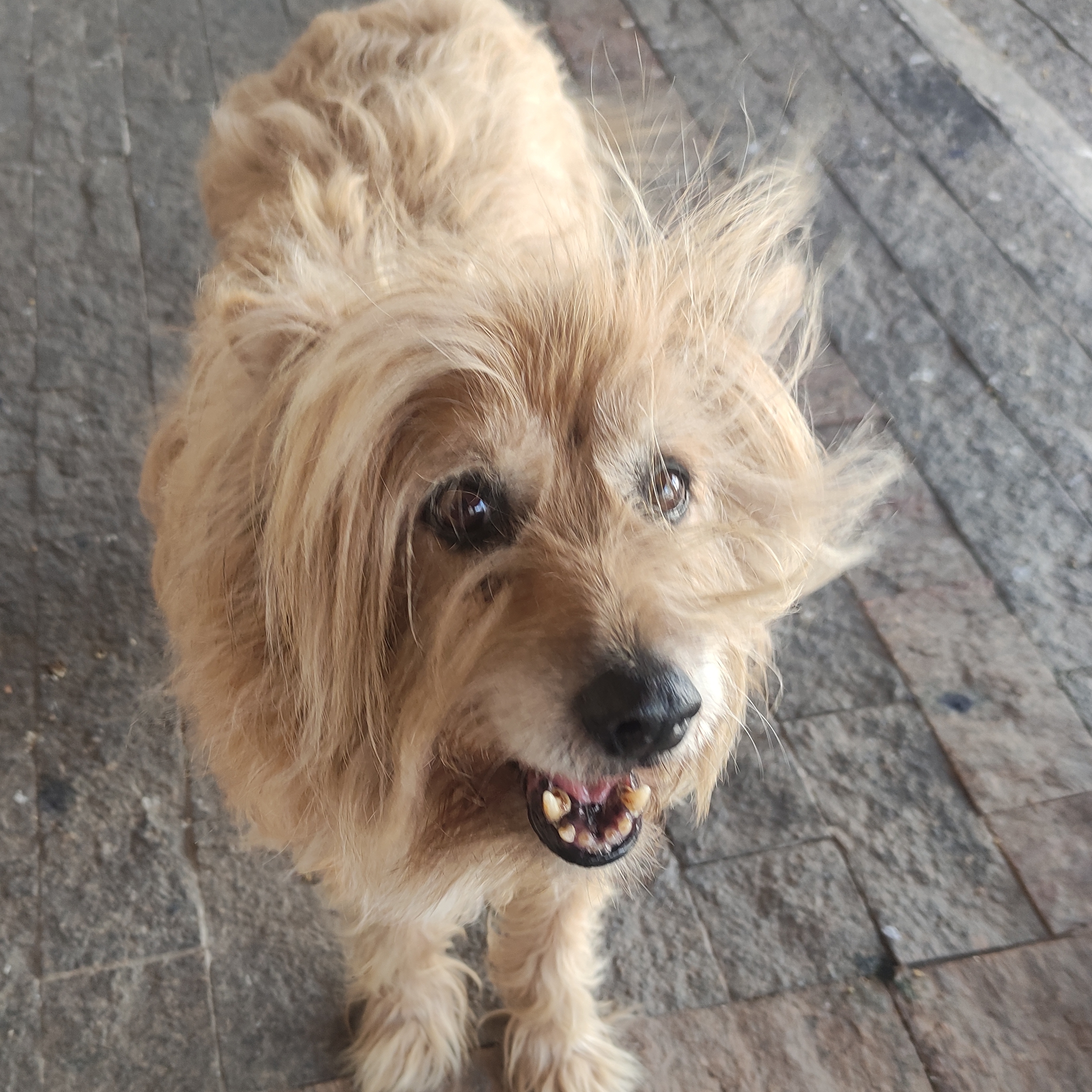 Nina José Carlos Teixeira Jr 