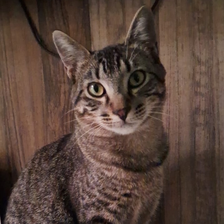 Sammy  Luciana Eustáquio Pinto