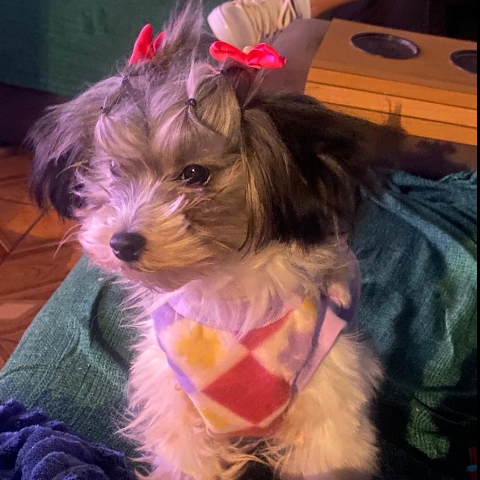 -Maya- Jaqueline Rezende 