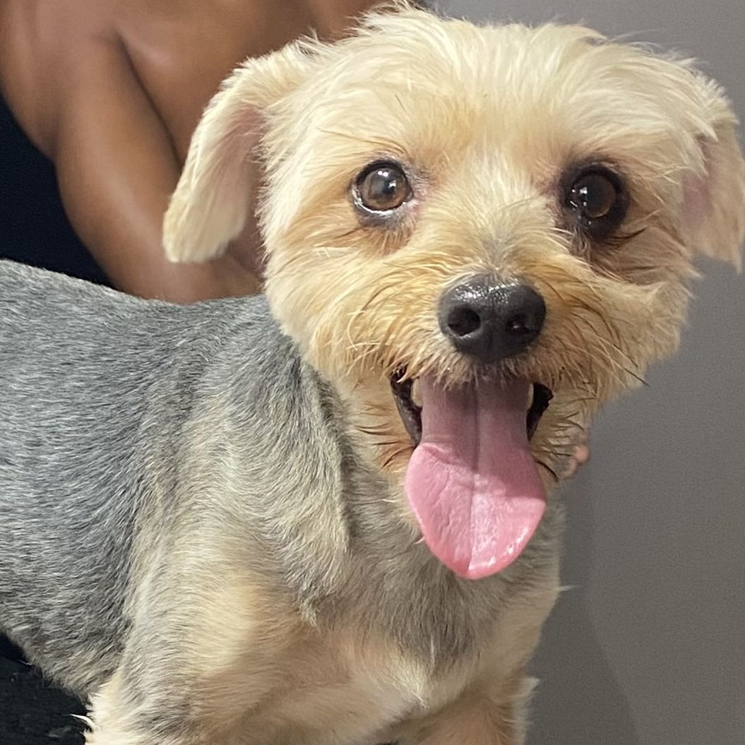 Lucky Raphaelle Christine