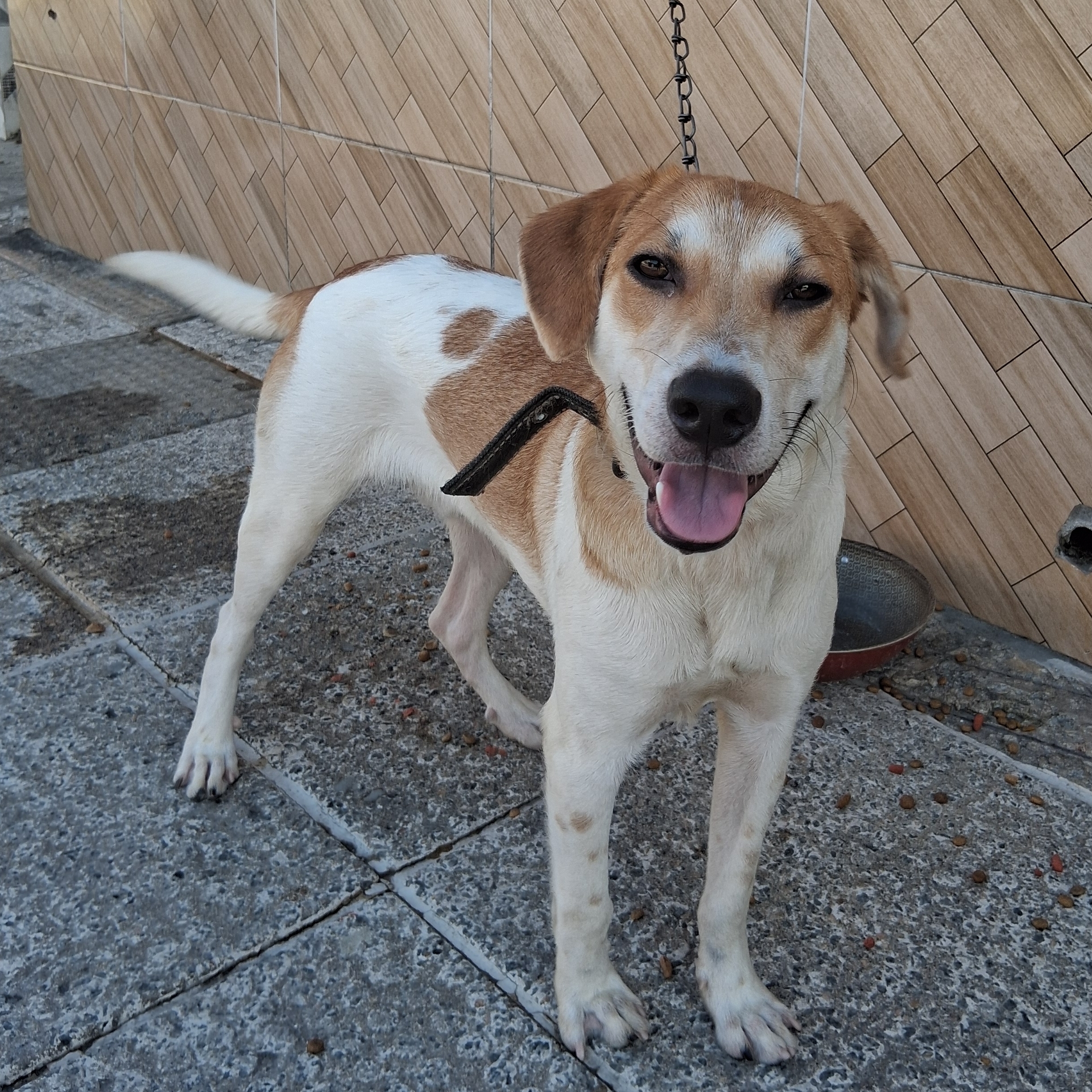 Manteguinha  Ana Cristina 