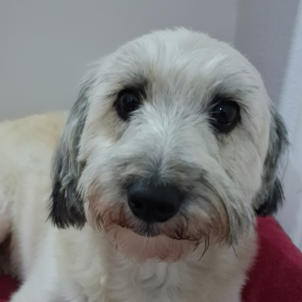 Nina Marcelo e In&ecirc;s 