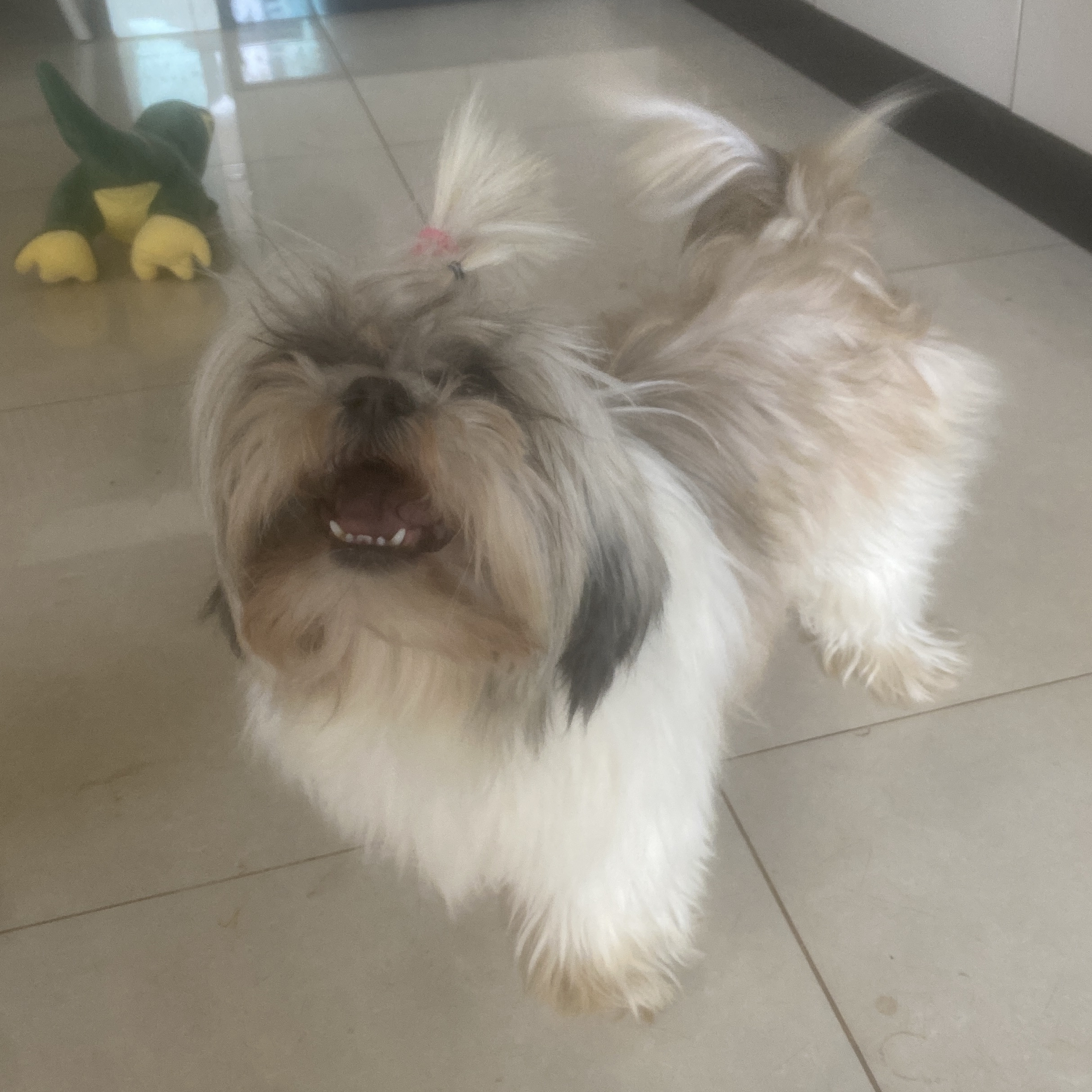 Kakau Manoel Medeiros