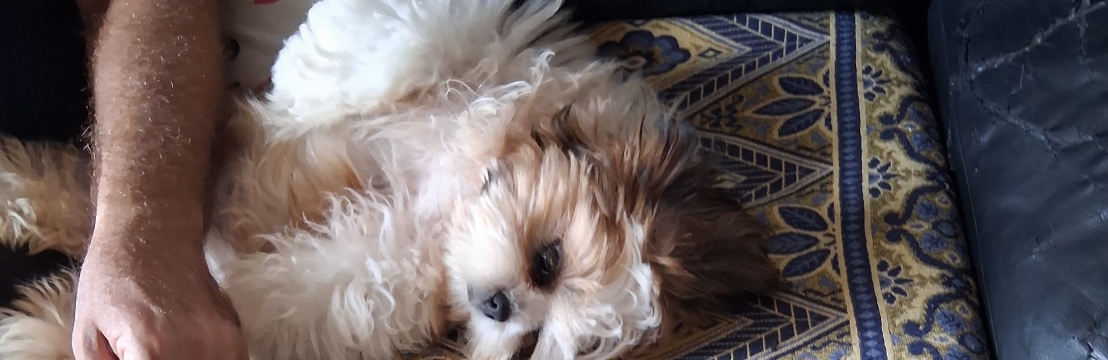 Teddy Francisco GouveiaJemima Ferreira da Silva