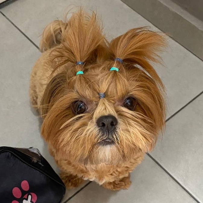 Gigi Amanda Moreira E Felipe Ferreira