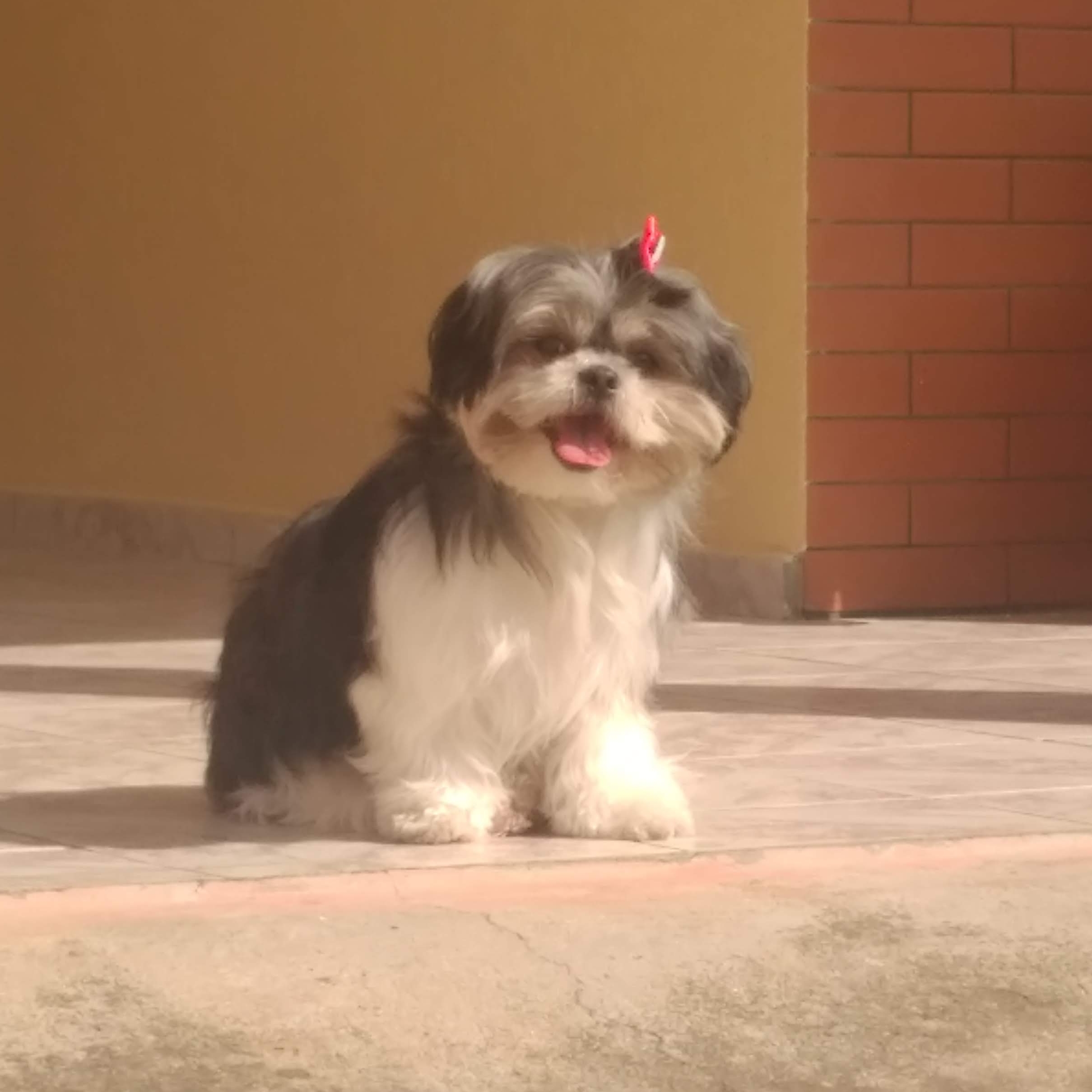 Phoebe Beatriz Moreira