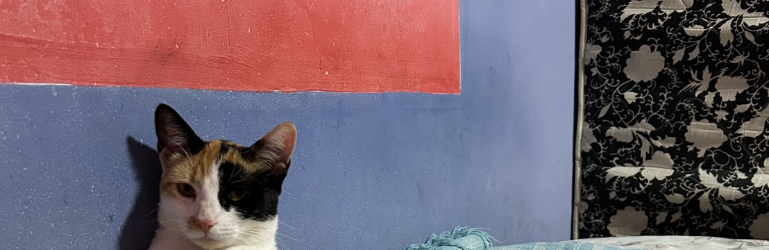 Laila Marie GouveiaL&iacute;dia Vit&oacute;ria Ferreira Gouveia