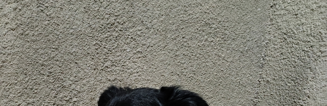 Biscoito Ana Cl&aacute;udia 