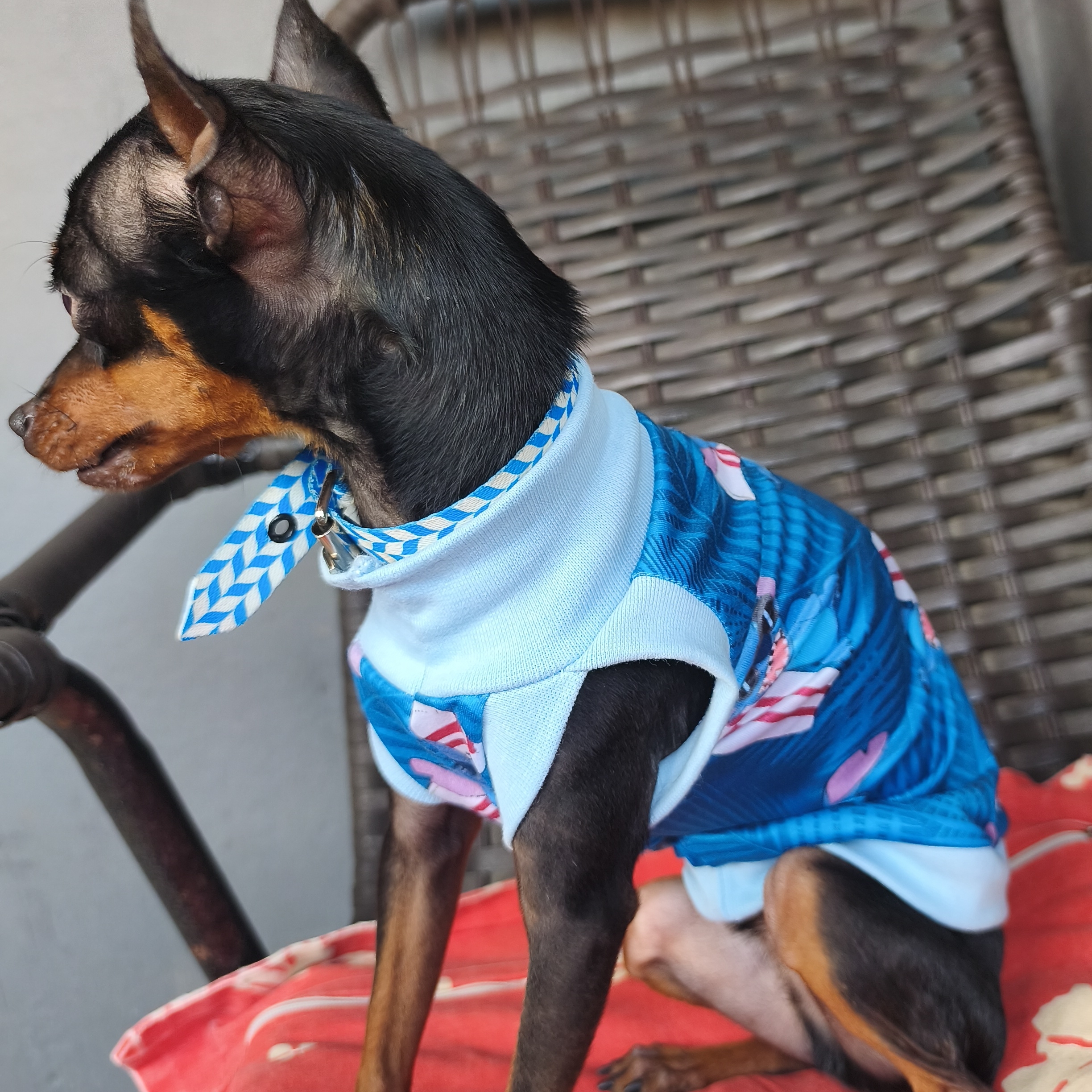 -gigante Maria Clara 