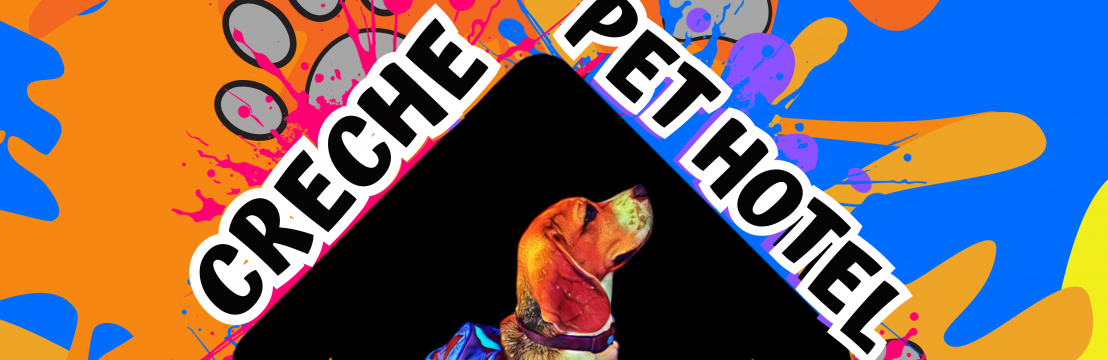 CalleriRafaela Gelk Silva