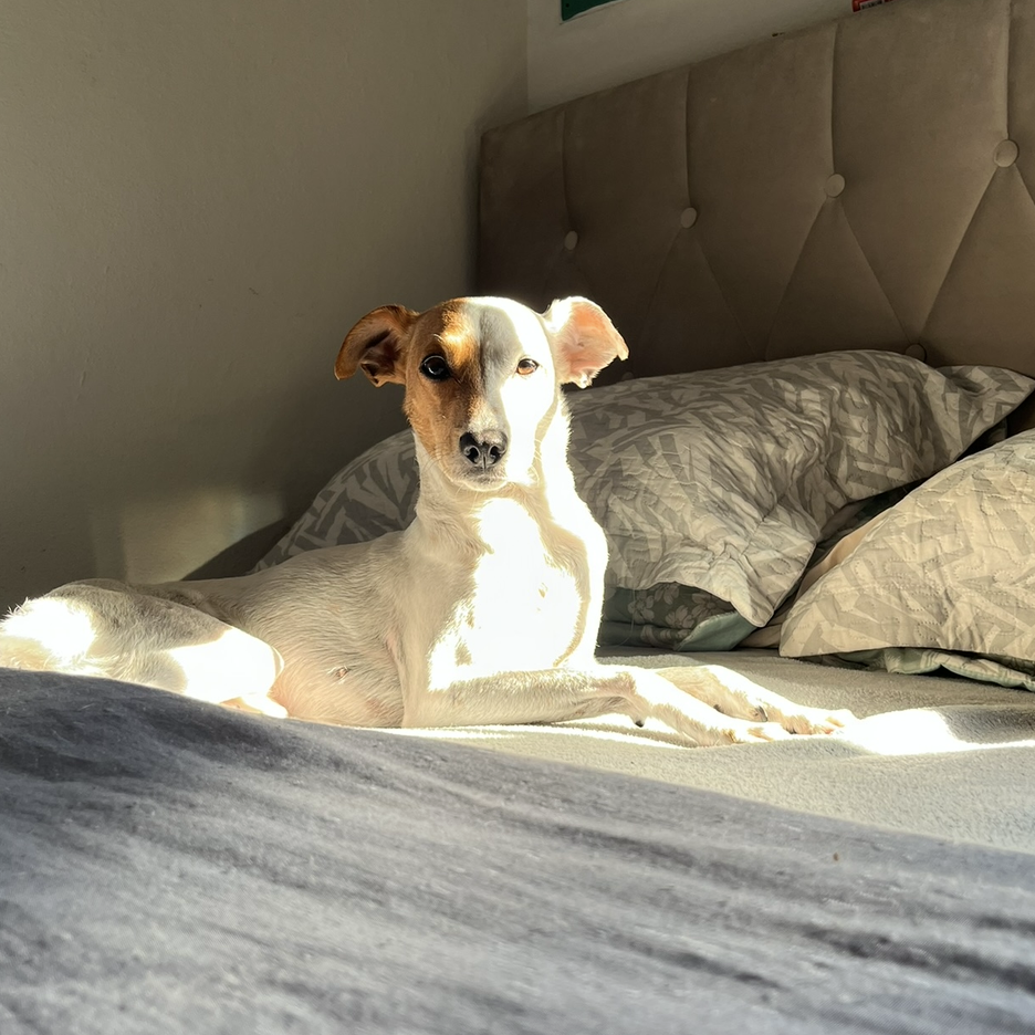 Princesa Karla Fabeb