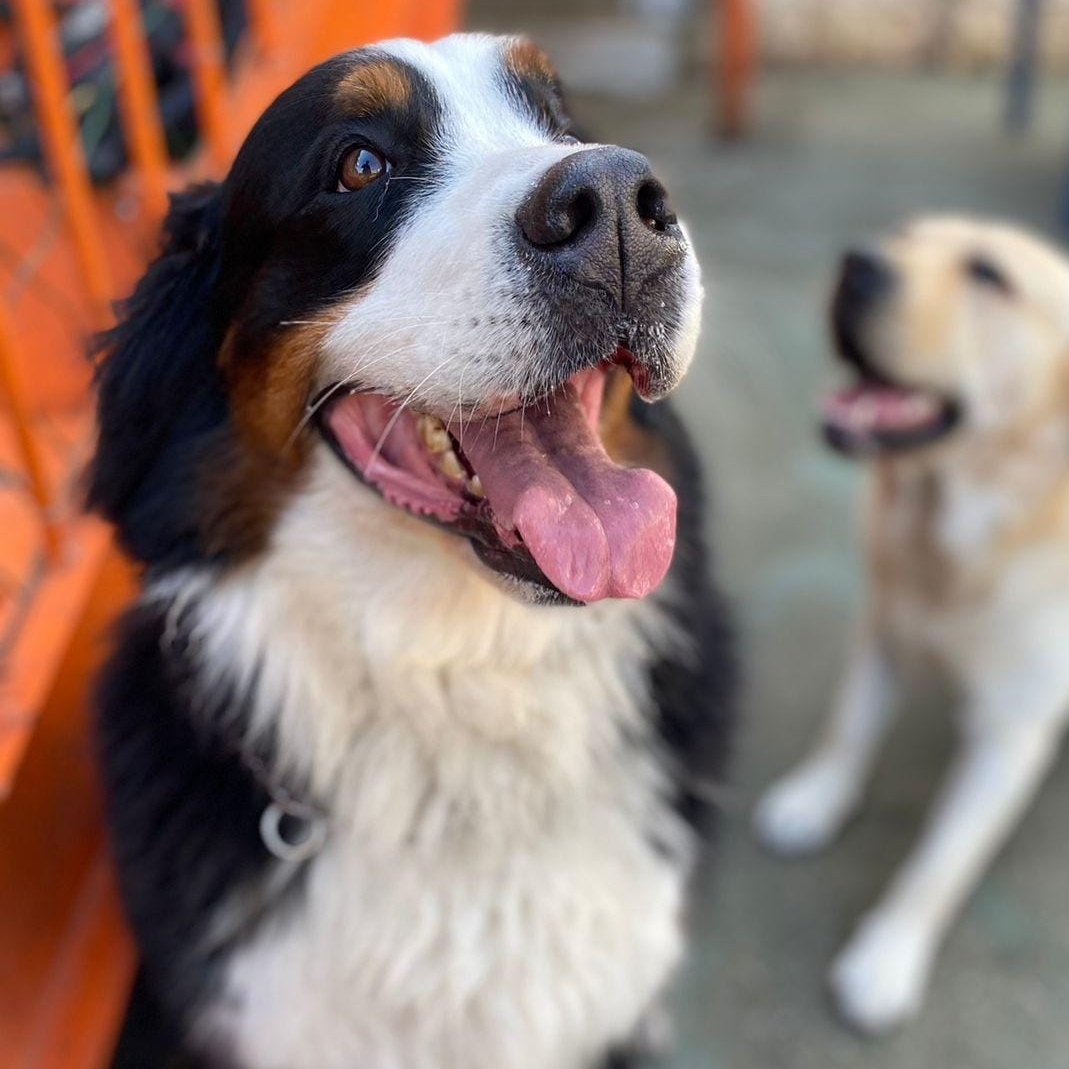 -Chiara Johnny e Bruna