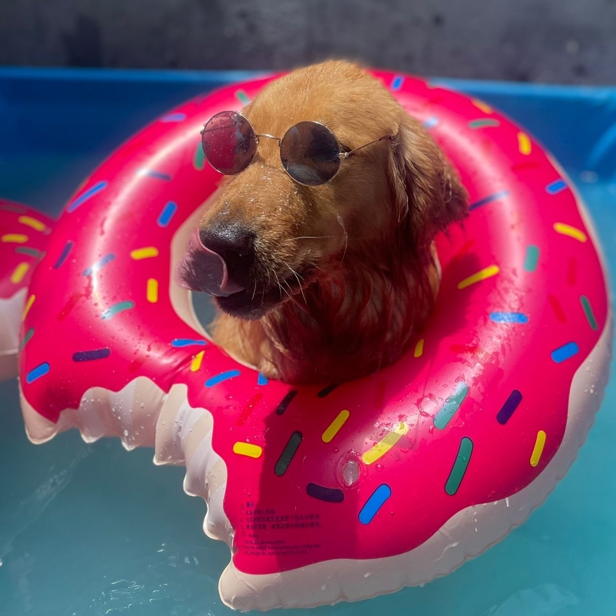 Guaraná Maia Valladez Paula e Aline Valladez