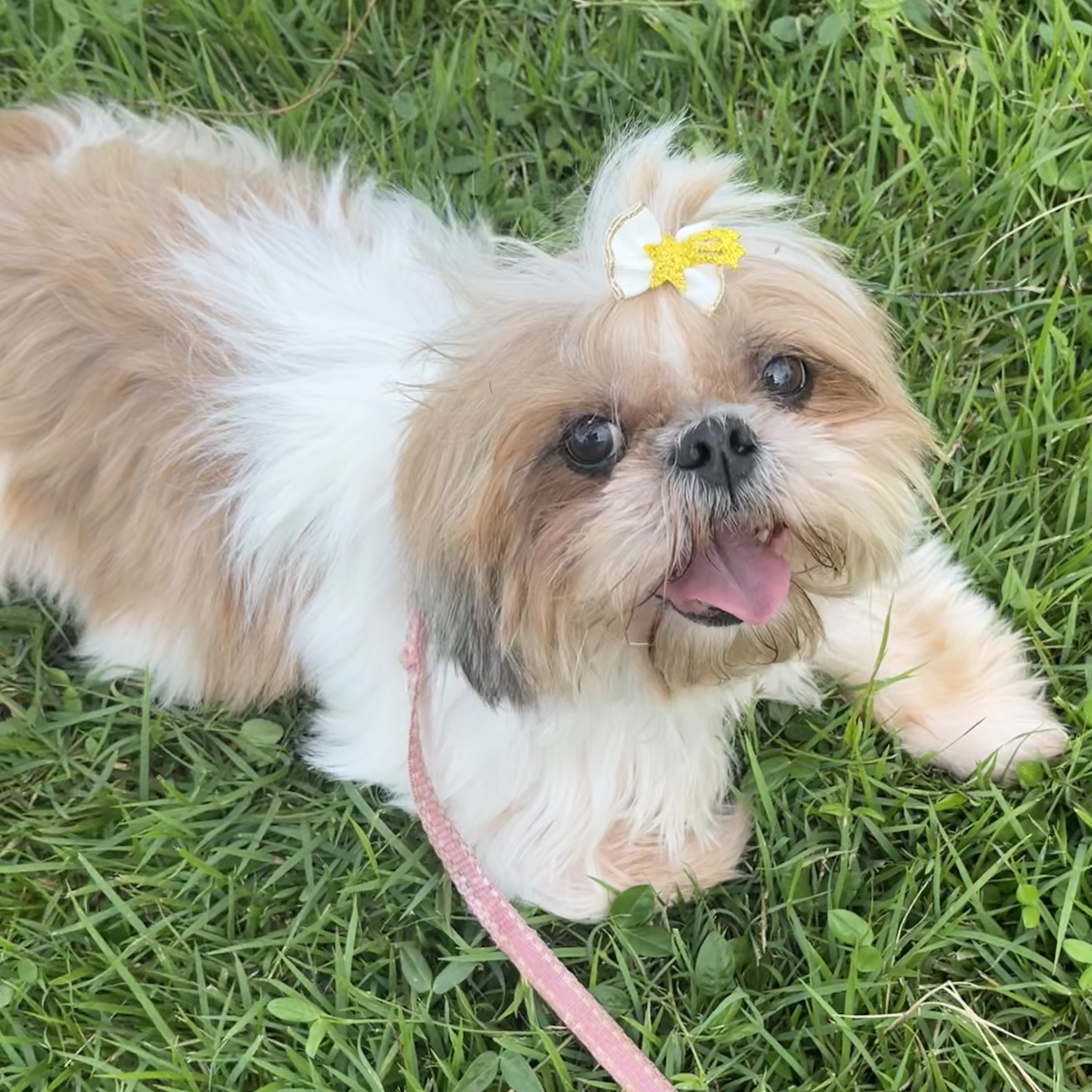 -Vivi Hadassah Turra Leonel