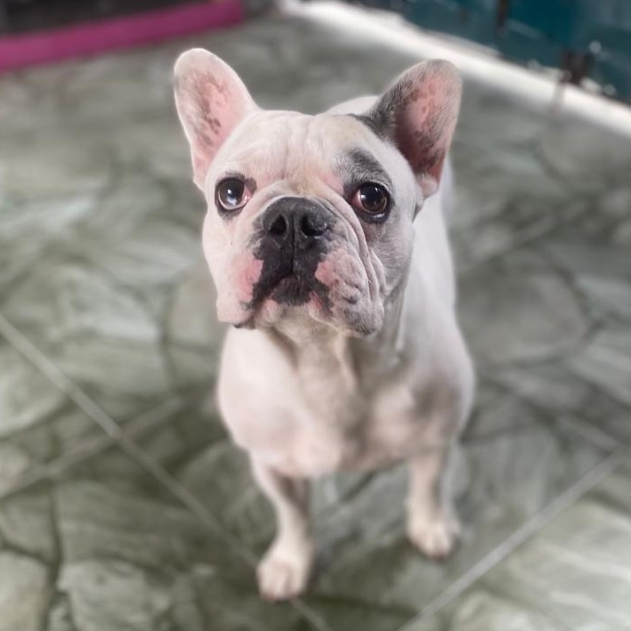 Gucci Rafael Moraes da Silva