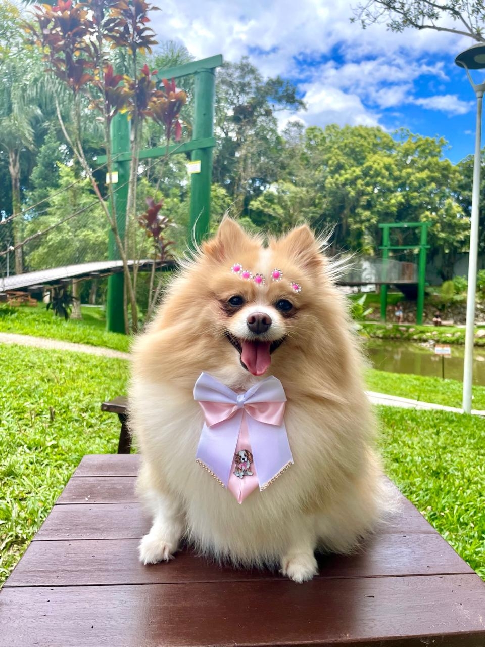 Layla Etiane Vasconcelos Marins