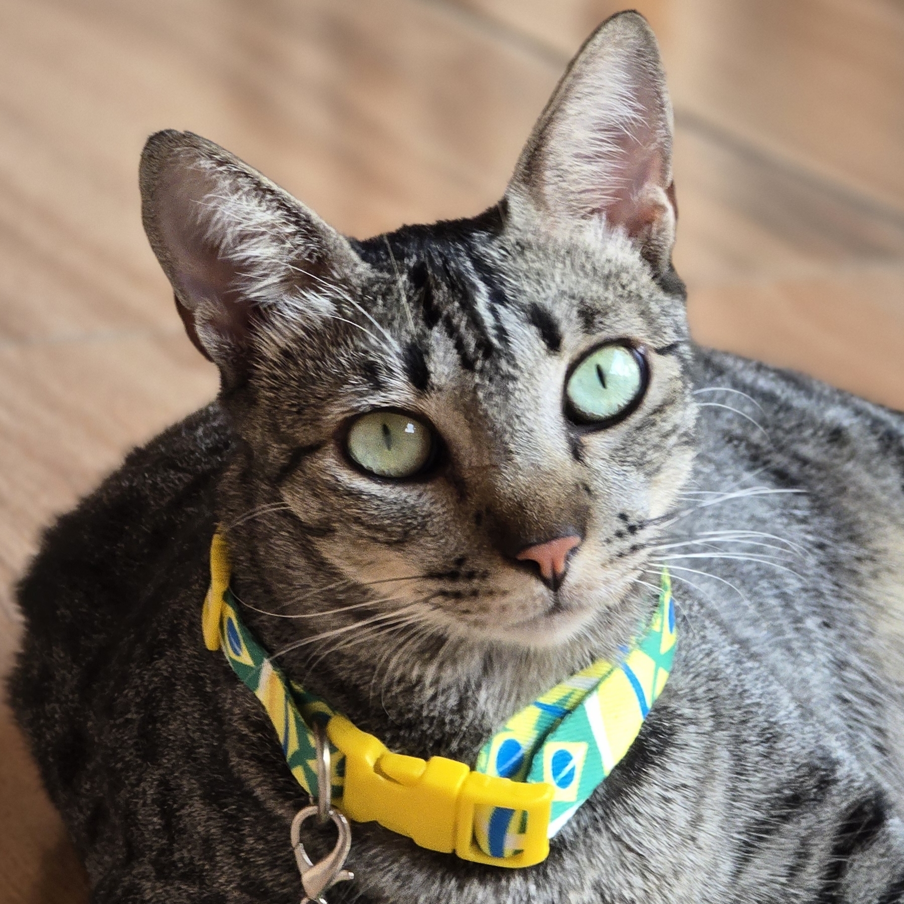 Nana Lucinha Alves Rocha