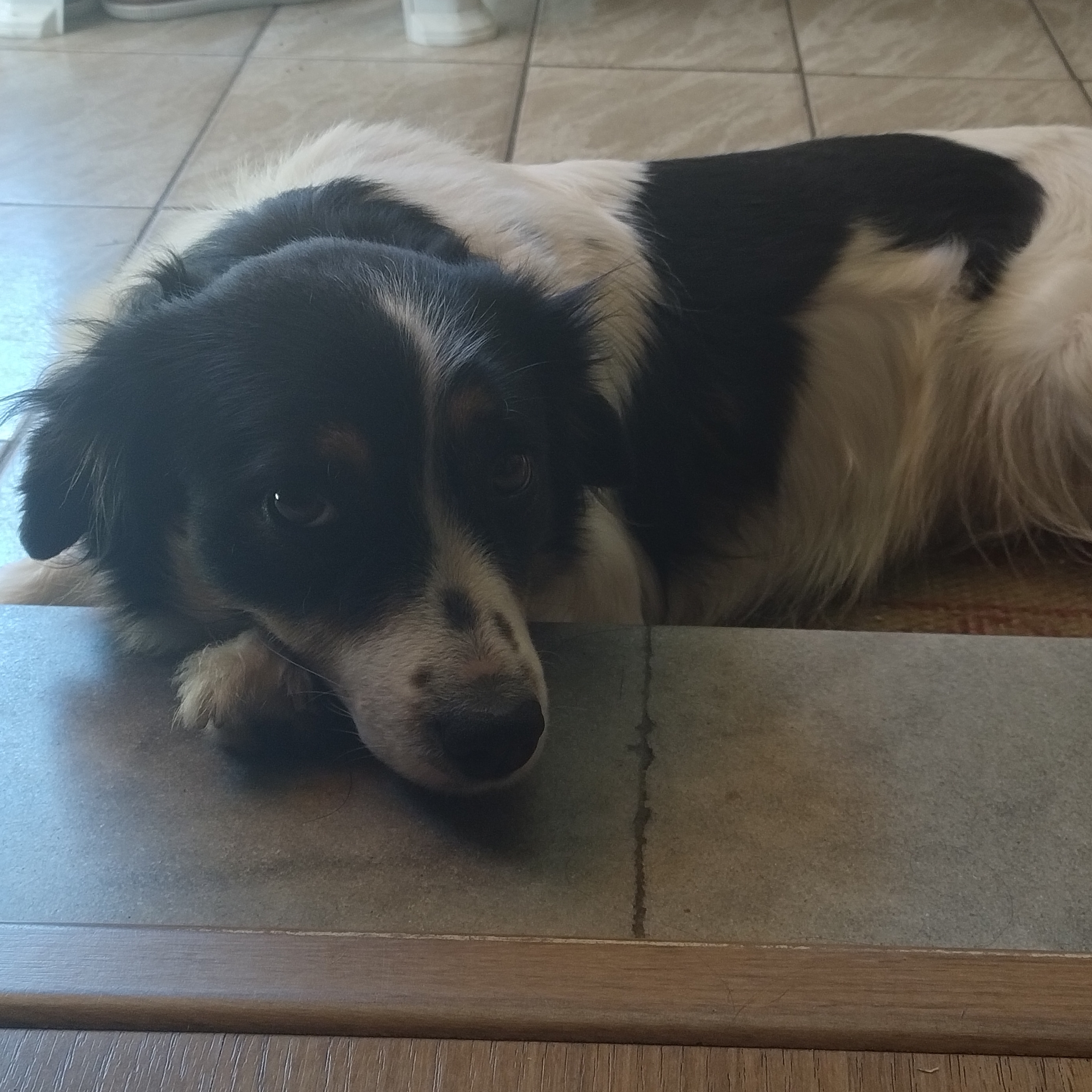 Kiraz Augusta  Marcio Santos Rodrigues 