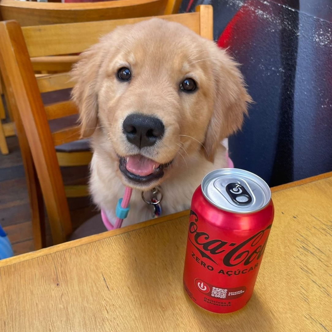 Coca-Cola Zero Maia Valladez  Paula e Aline Valladez