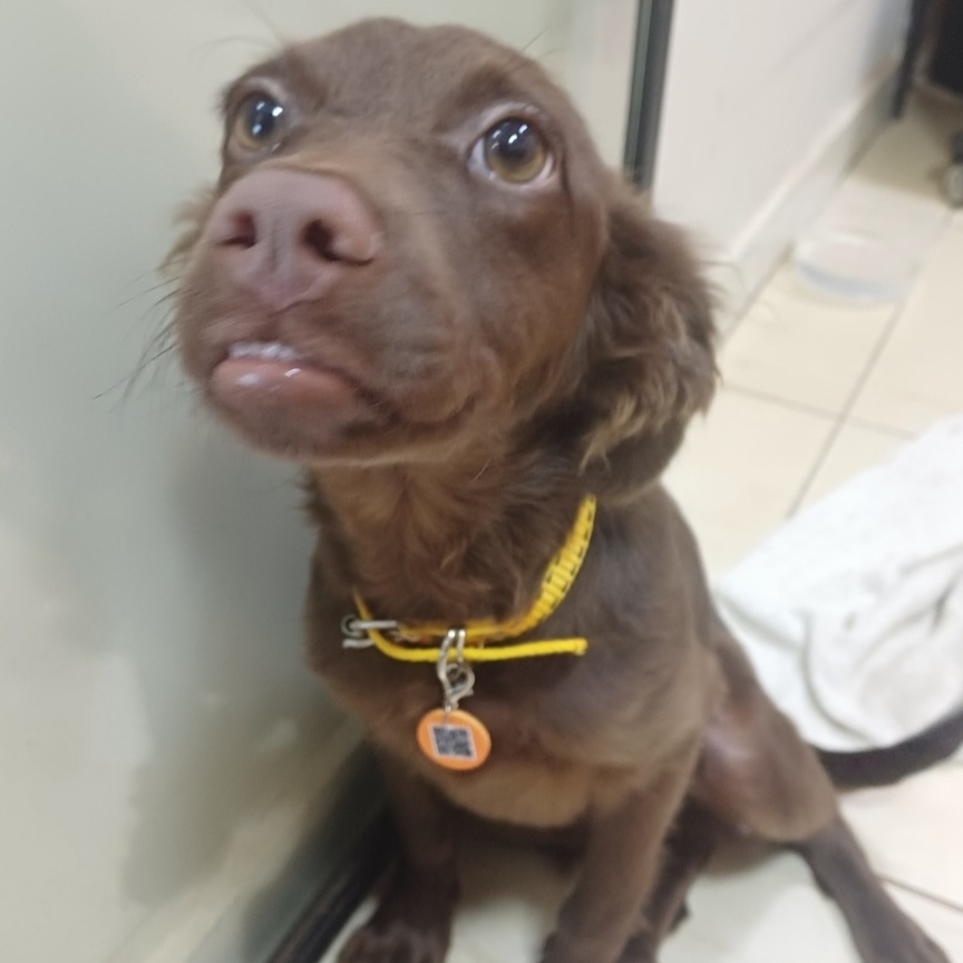 Bisnaga Bento Bernardo Noah Bento Bispo