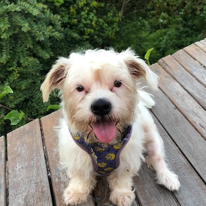 -Fernanda (Nandinha) Fabiana Ferraz