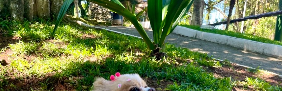 LaylaEtiane Vasconcelos Marins