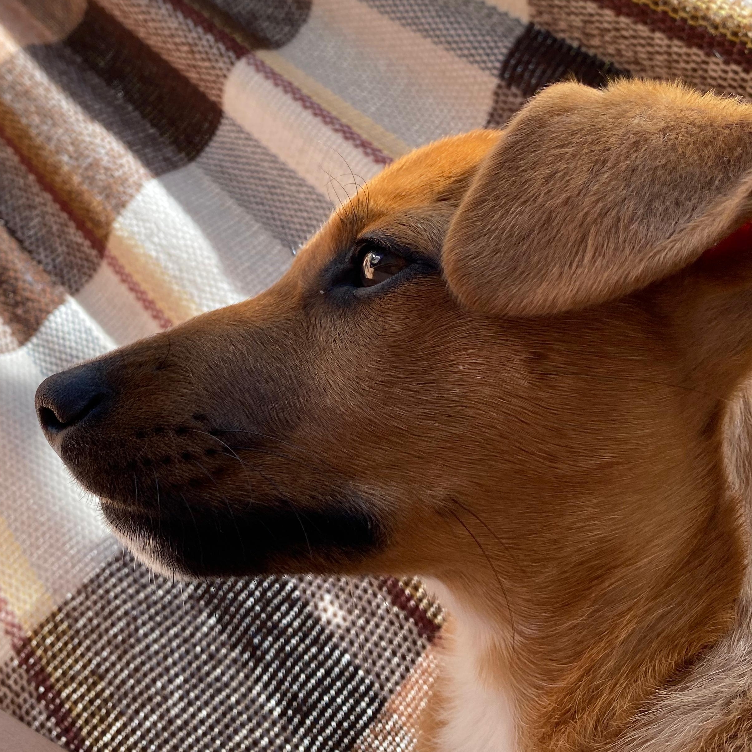 Kira Maria- Ant&ocirc;nio 