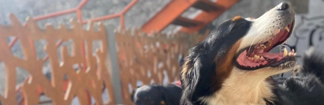 -ChiaraJohnny e Bruna