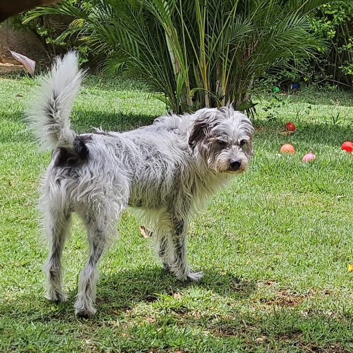 Zeca Fabr&iacute;cio e Patr&iacute;cia 