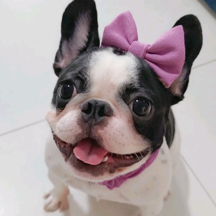 Amora Larissa e Michel