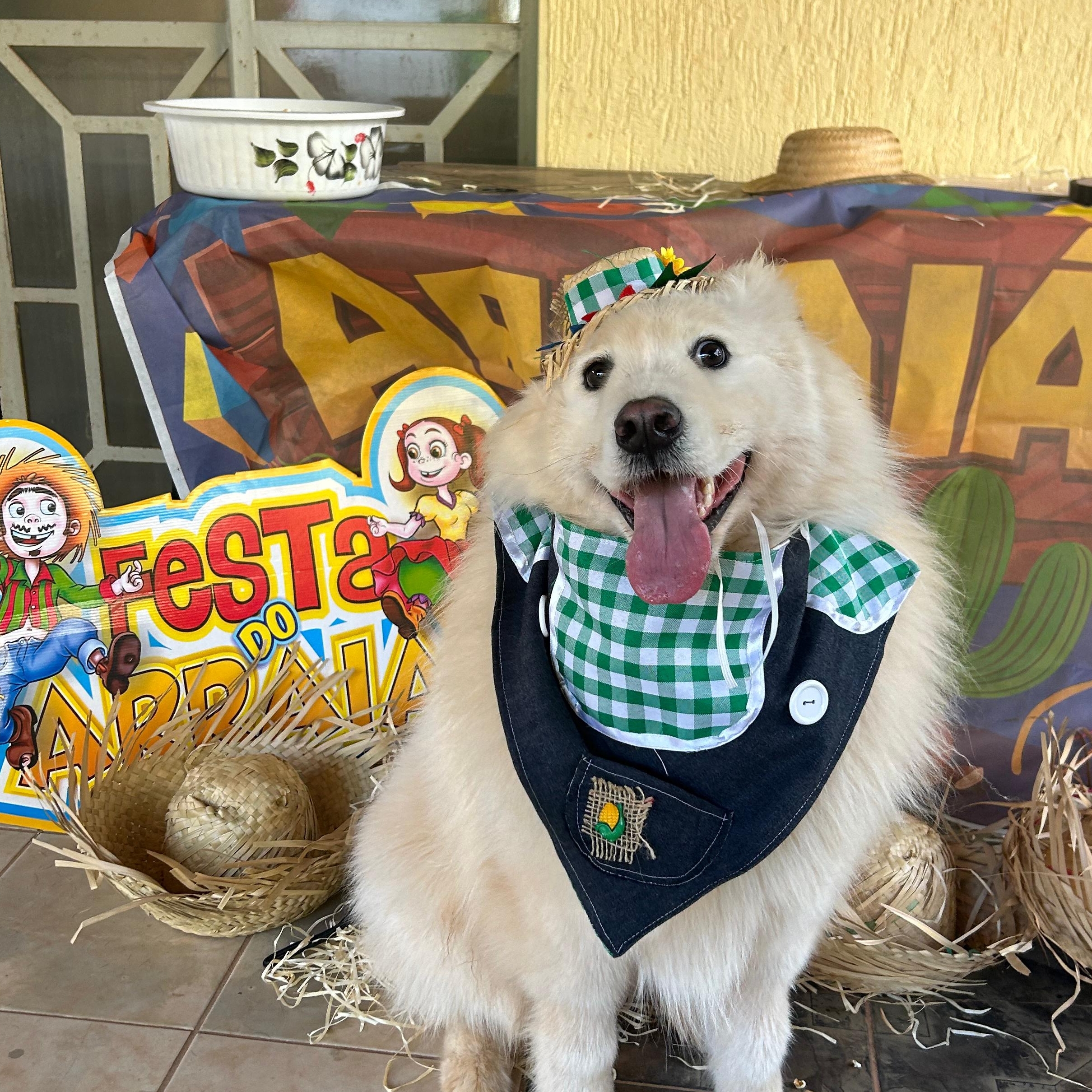 Yuki Neilane Avelino Neres Ferreira