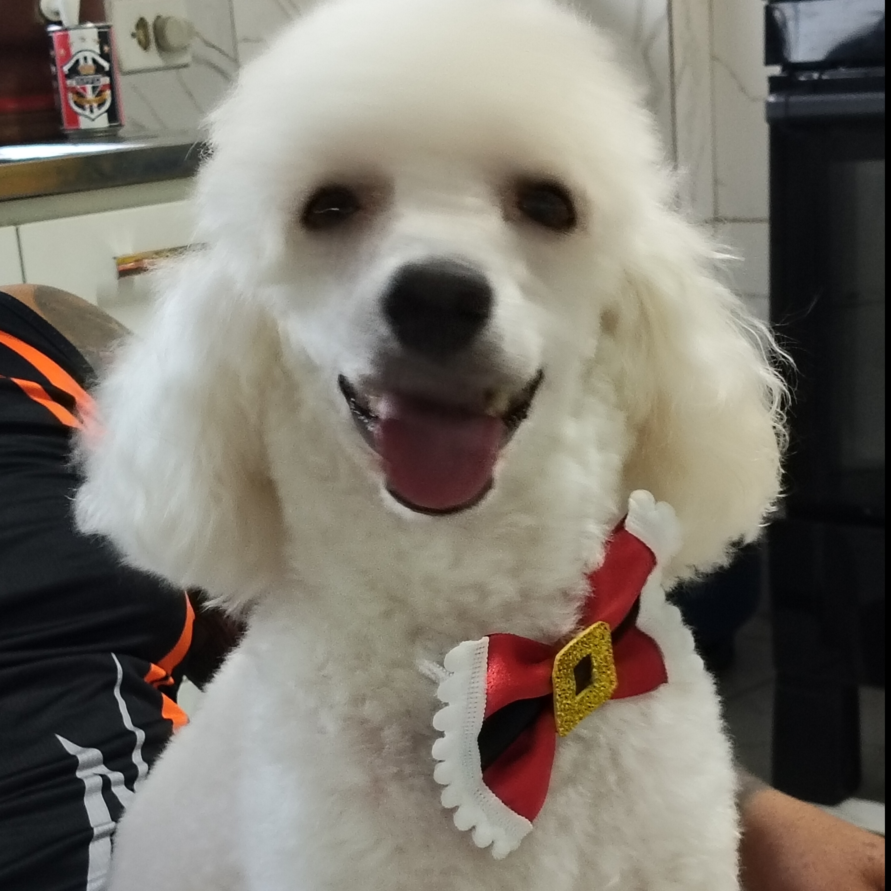 -FLOQUINHO ALMEIDA ADRIANO 