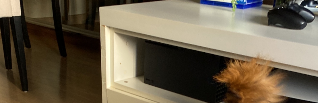 Brown JorgeLuis Gustavo Esteves Jorge