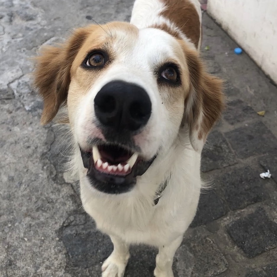 -Tadeu  Ninna Feitosa 