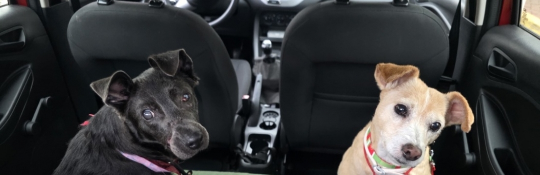 -Guerreirinho Caio e katia