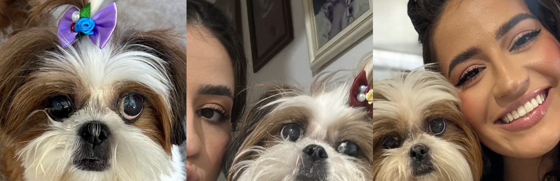 -Cindiany Ol&iacute;via Beatriz Vict&oacute;ria Botelho 