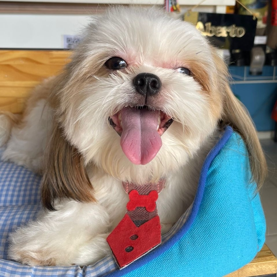 -thor Marilan pereira