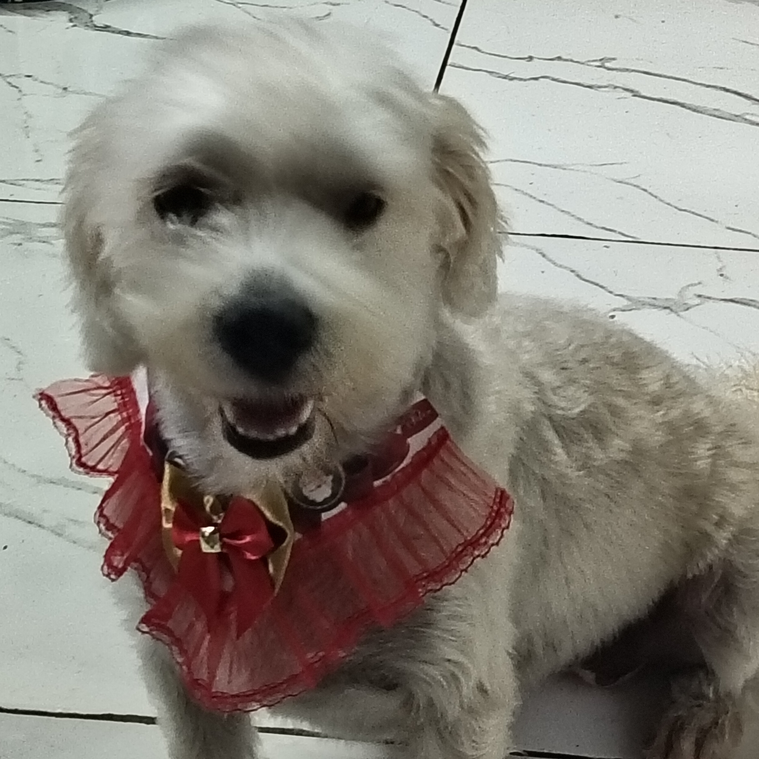 -TEXTURA ALMEIDA ADRIANO ALMEIDA