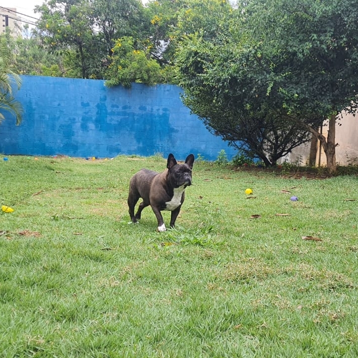 Margot Renata e Helios 