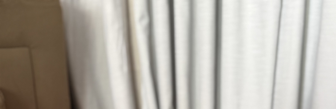  Black Panther Giovanna Gomes 