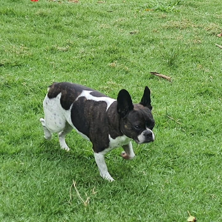 Malu Renata e H&eacute;lios