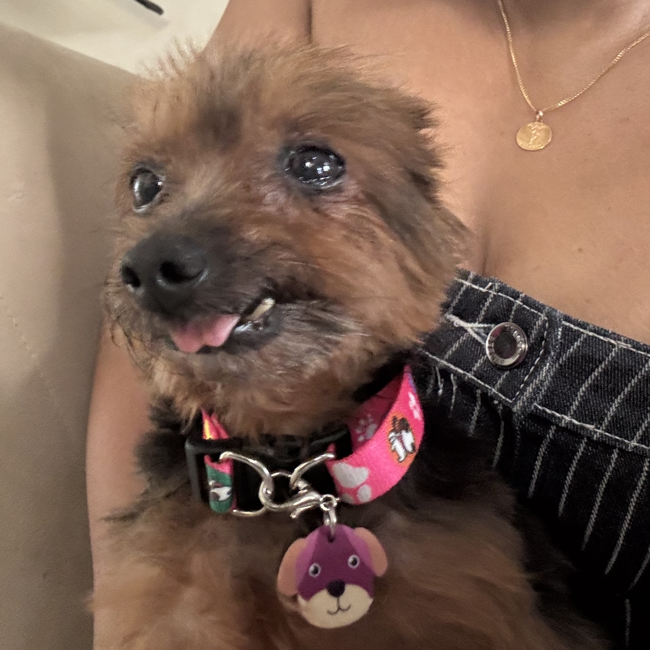 -Vit&oacute;ria  Lucas e Danielle