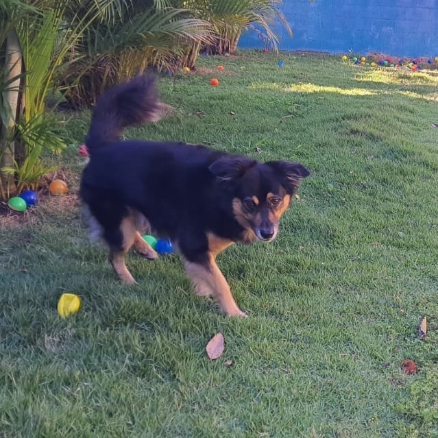 Sult&atilde;o - Rodrigo e Sabrina 