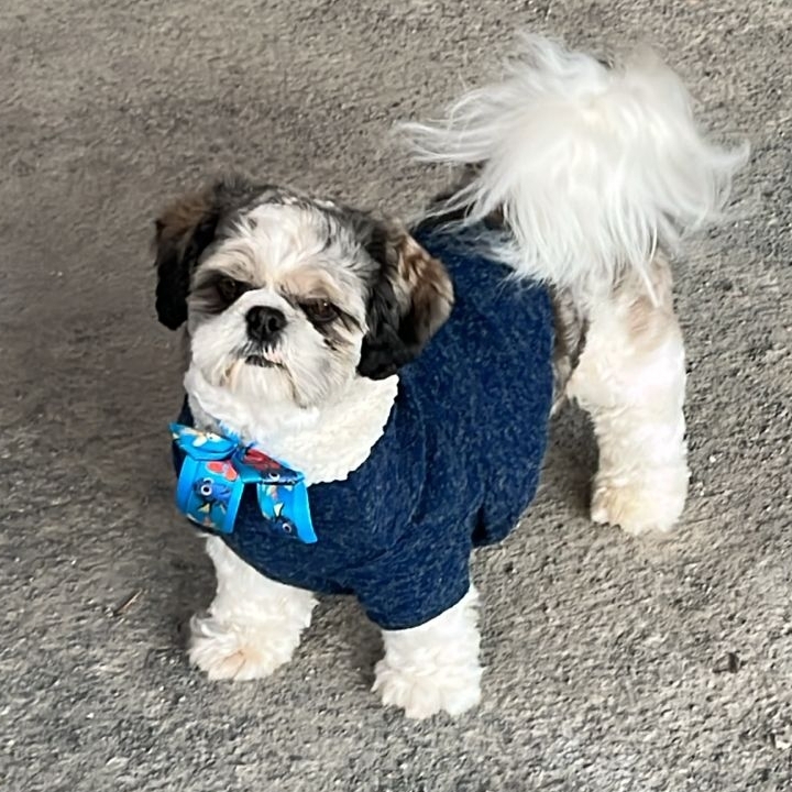 Luck Elis&acirc;ngela e Thiago