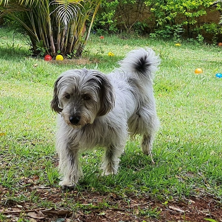 Matias Fabr&iacute;cio e Patr&iacute;cia 