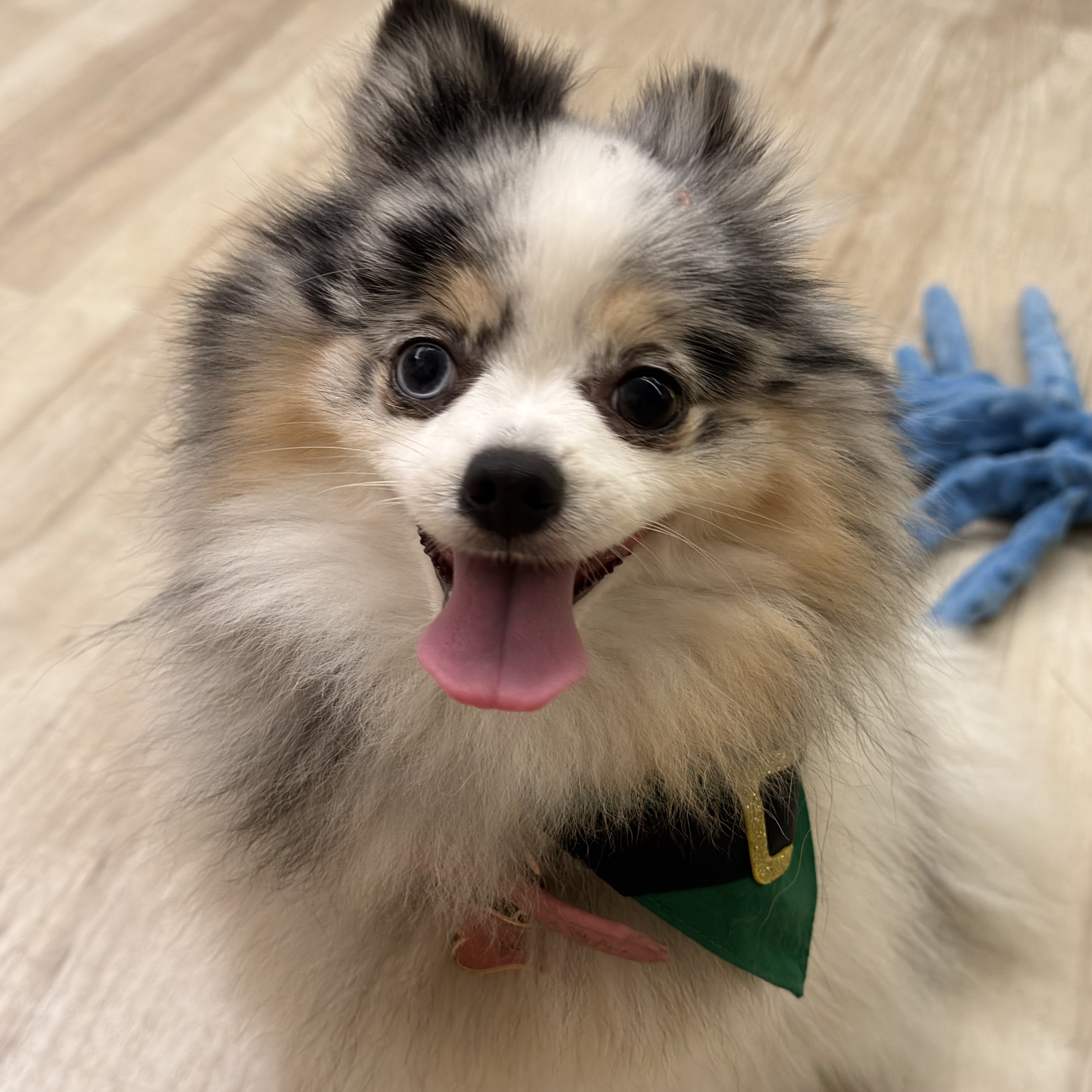 Luna Ana Patr&iacute;cia ou Pedro Victor 