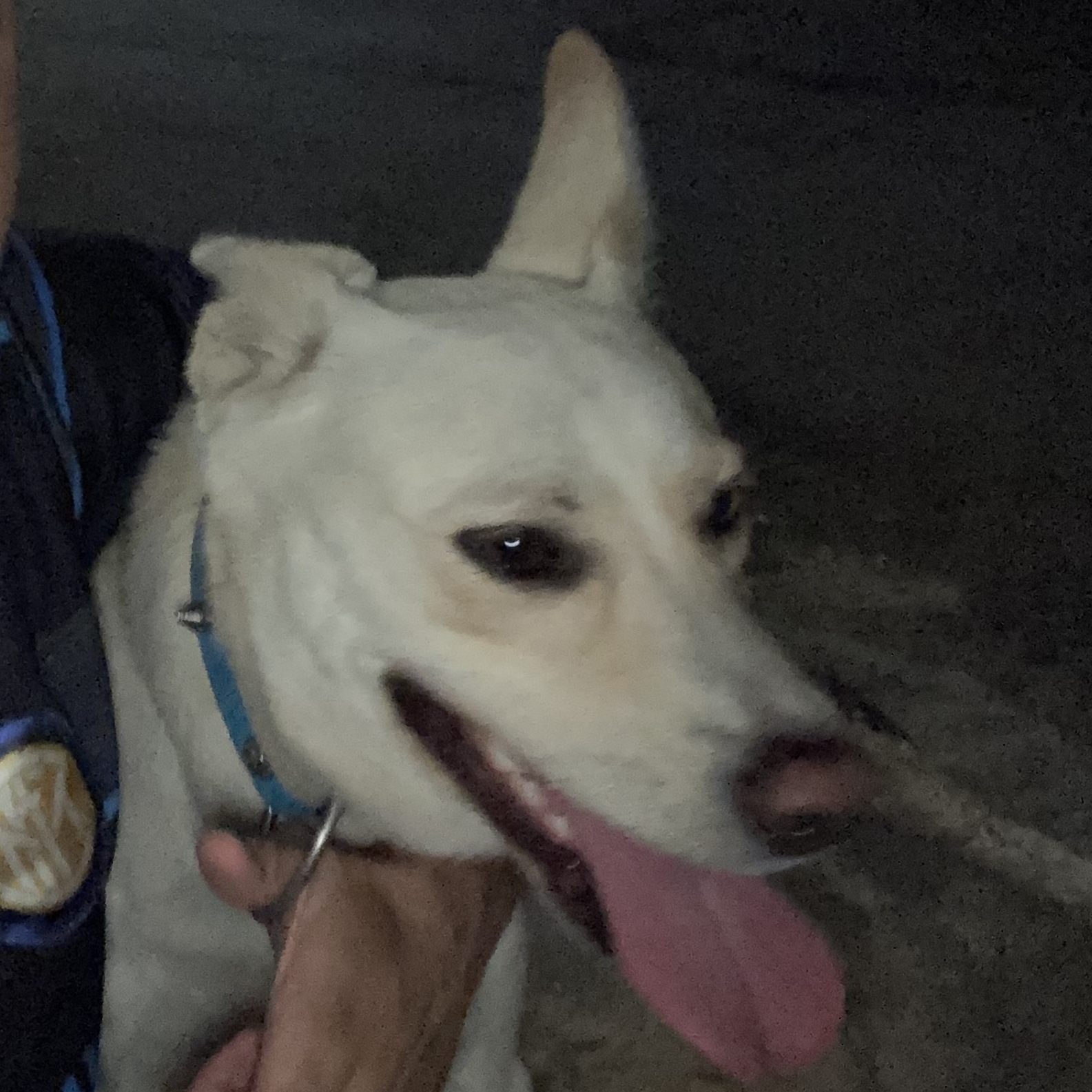 Companheiro BAR&Atilde;O Douglas RAFAEL  