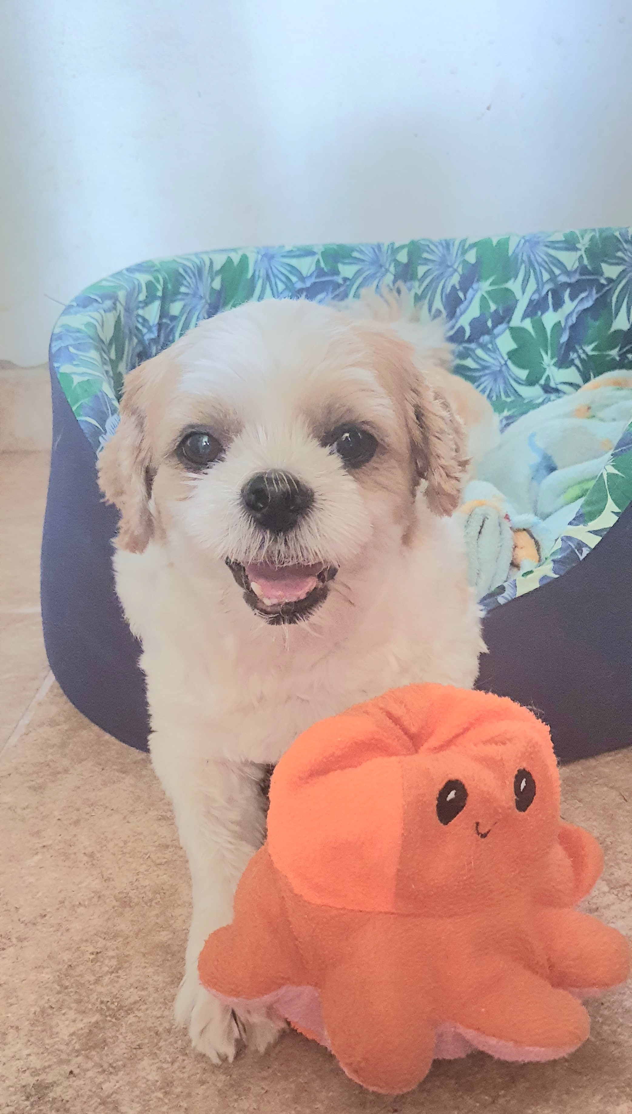 Beto Clareane e S&eacute;rgio 